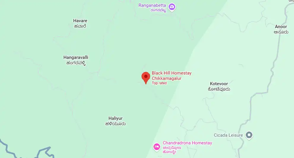 Location Black Hill Homestay