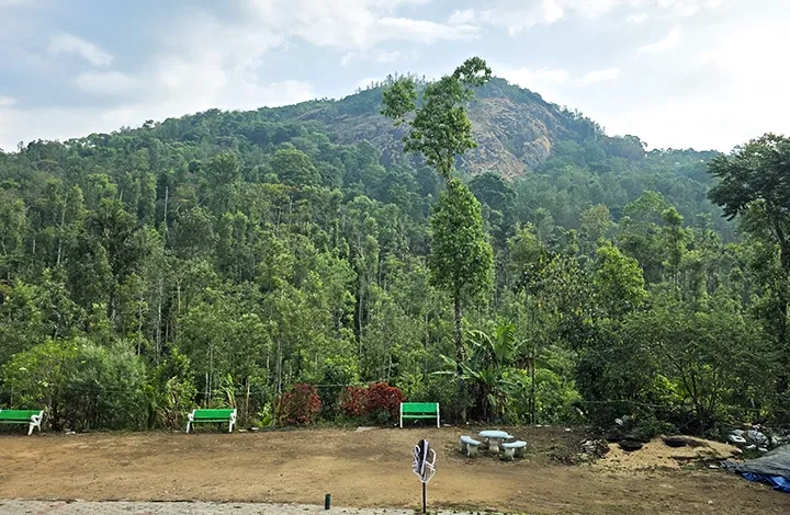 Hills View